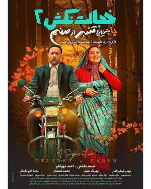 پوستر فیلم «خجالت نکش ۲»