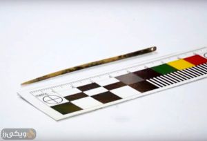 قدیمی‌ترین سوزن جهان