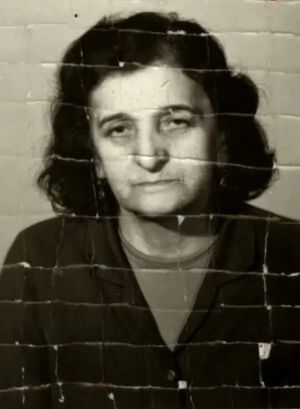 افتخارالسلطنه