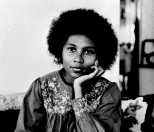 بل هوکس نماینده فمینیسم سیاه