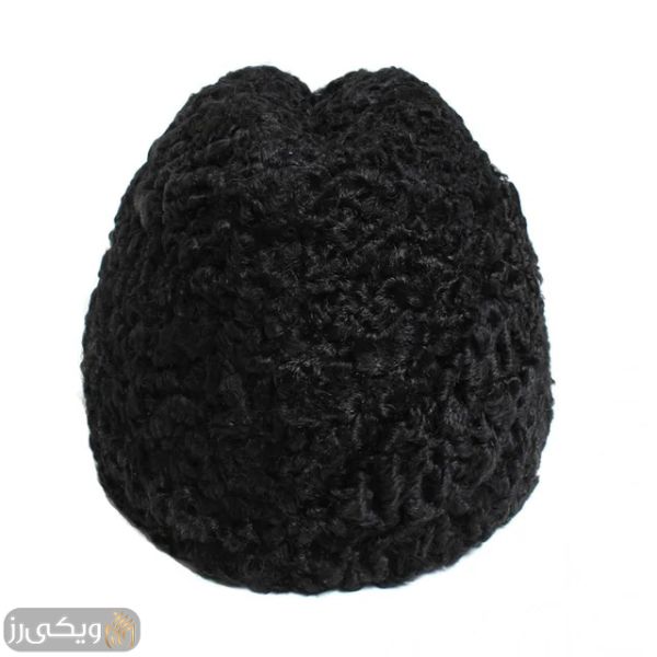 پرونده:کلاه قوچانی.jpg