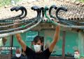 تصویر بندانگشتی از نسخهٔ مورخ ۶ تیر ۱۴۰۵، ساعت ۱۳:۳۴