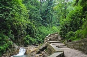 مسیر پیاده‌روی در پارک جنگلی کبودوال