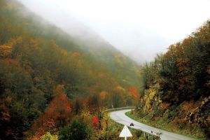 طبیعت پاییزی جنگل‌های ارسباران
