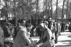 همه‌پرسی نظام جمهوری اسلامی در ایران