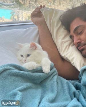 محمدرضا گلزار بازیگر با گربه
