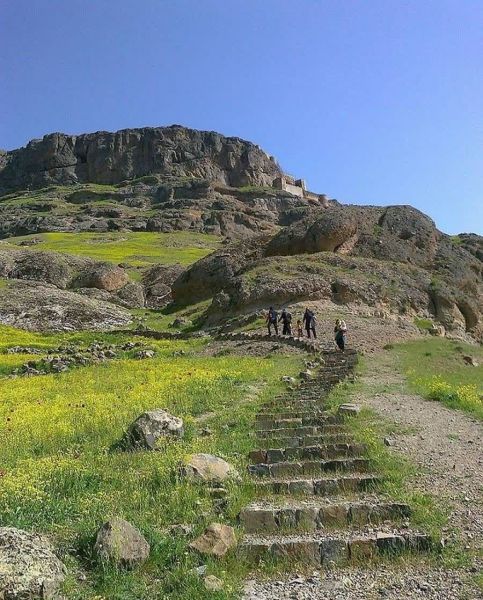 پرونده:جنگل ارسباران۲.jpg