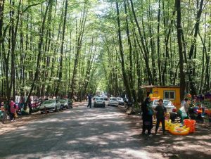 پارک جنگلی گیسوم، گیلان