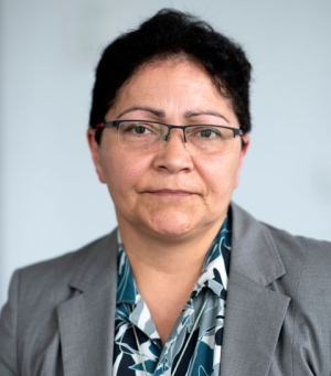 شادی امین