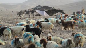 سبک زندگی کوچی‌های قوم پشتون