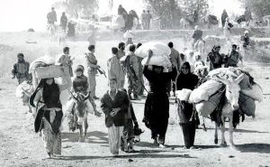 مهاجرت۲۰.jpg