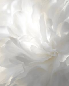 رنگ سفید رقصندۀ ابر