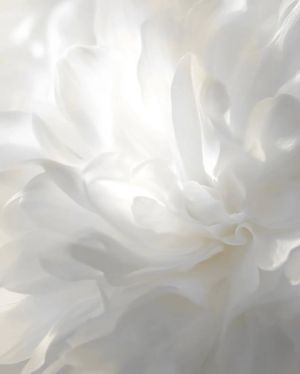 رنگ سال ۸.jpg